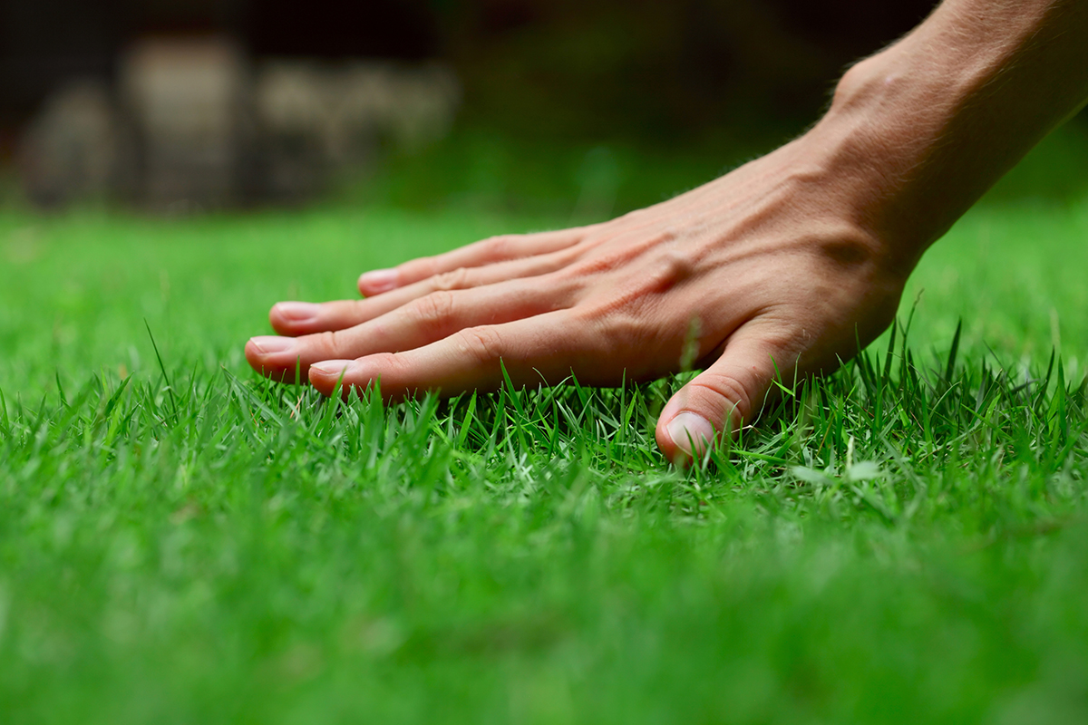 Раздача заказов 05 Мая.Газон, удобрение для газона 2017.Выкуп 1. Раздача заказов 05 Мая.Газон, удобрение для газона 2017.Выкуп 1.