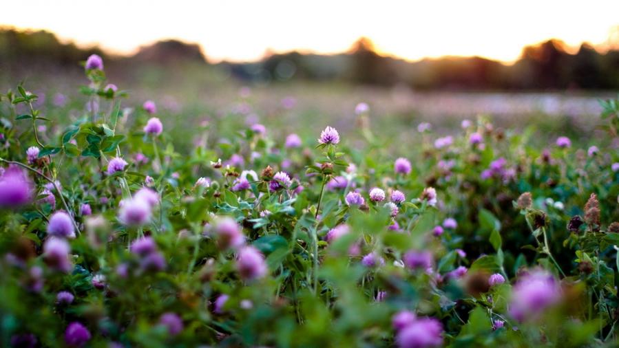 Александр Блок Александр Блок