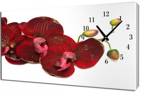 КАРТИНЫ КАРТИНЫ