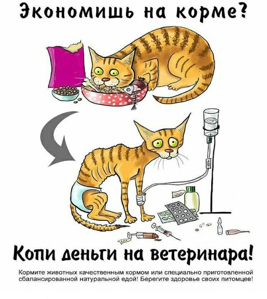 простая истина простая истина
