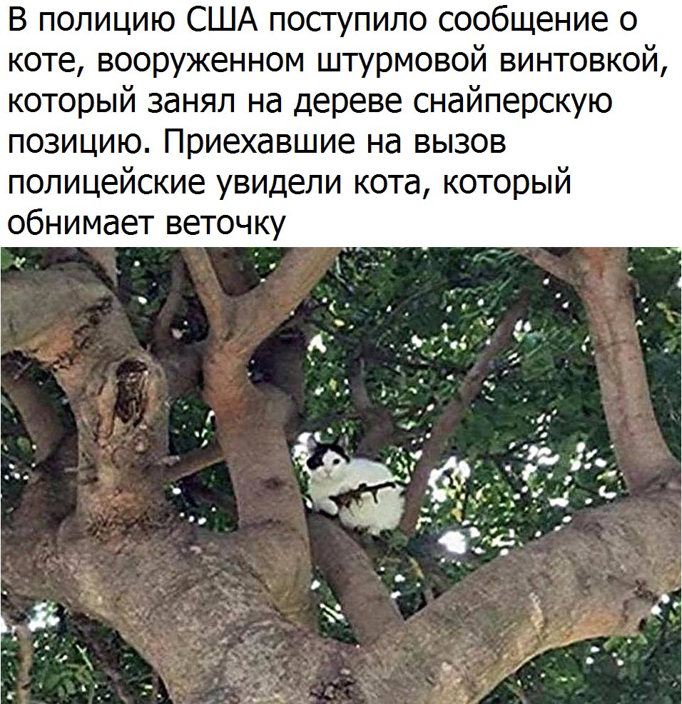 У страха глаза велики=) У страха глаза велики=)