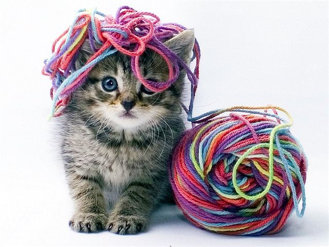 ОТКРЫТ НОВЫЙ СБОР ПО ПРЯЖЕ! Много Новинок! Приглашаю и буду рада видеть)) ОТКРЫТ НОВЫЙ СБОР ПО ПРЯЖЕ! Много Новинок! Приглашаю и буду рада видеть))