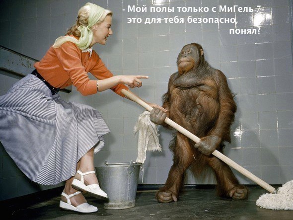 МиГель - Нано-бытовая химия на основании Микрогелей. Подходят для аллергиков. БЕЗОПАСНЫ для детей и природы! ЕСТЬ НАШИ ОТЗЫВЫ. МиГель - Нано-бытовая химия на основании Микрогелей. Подходят для аллергиков. БЕЗОПАСНЫ для детей и природы! ЕСТЬ НАШИ ОТЗЫВЫ.