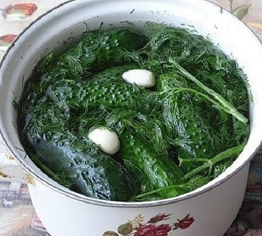 Суточные малосольные огурчики на минералке Суточные малосольные огурчики на минералке