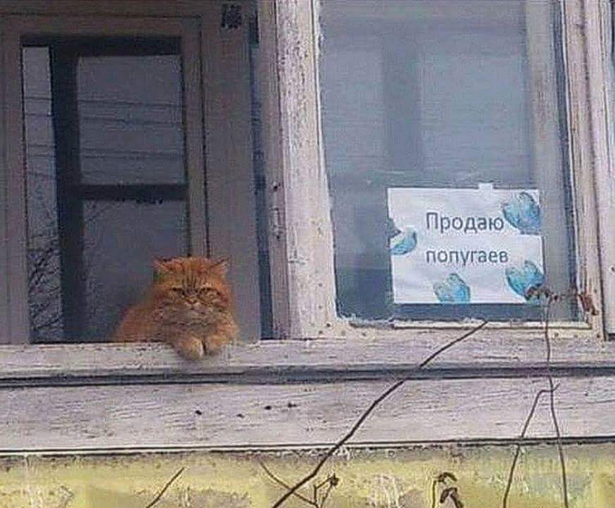 У каждого свой бизнес... У каждого свой бизнес...