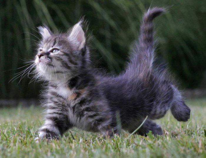 Что ни делается, всё к лучшему. Было хорошо, будет ещё лучше... Что ни делается, всё к лучшему. Было хорошо, будет ещё лучше...