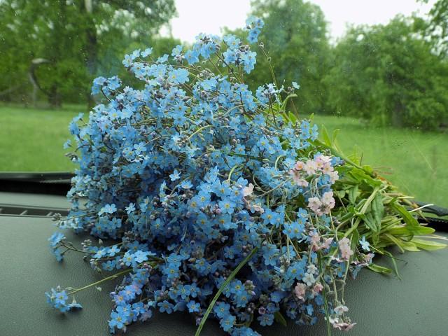 Стихотворение дня Стихотворение дня