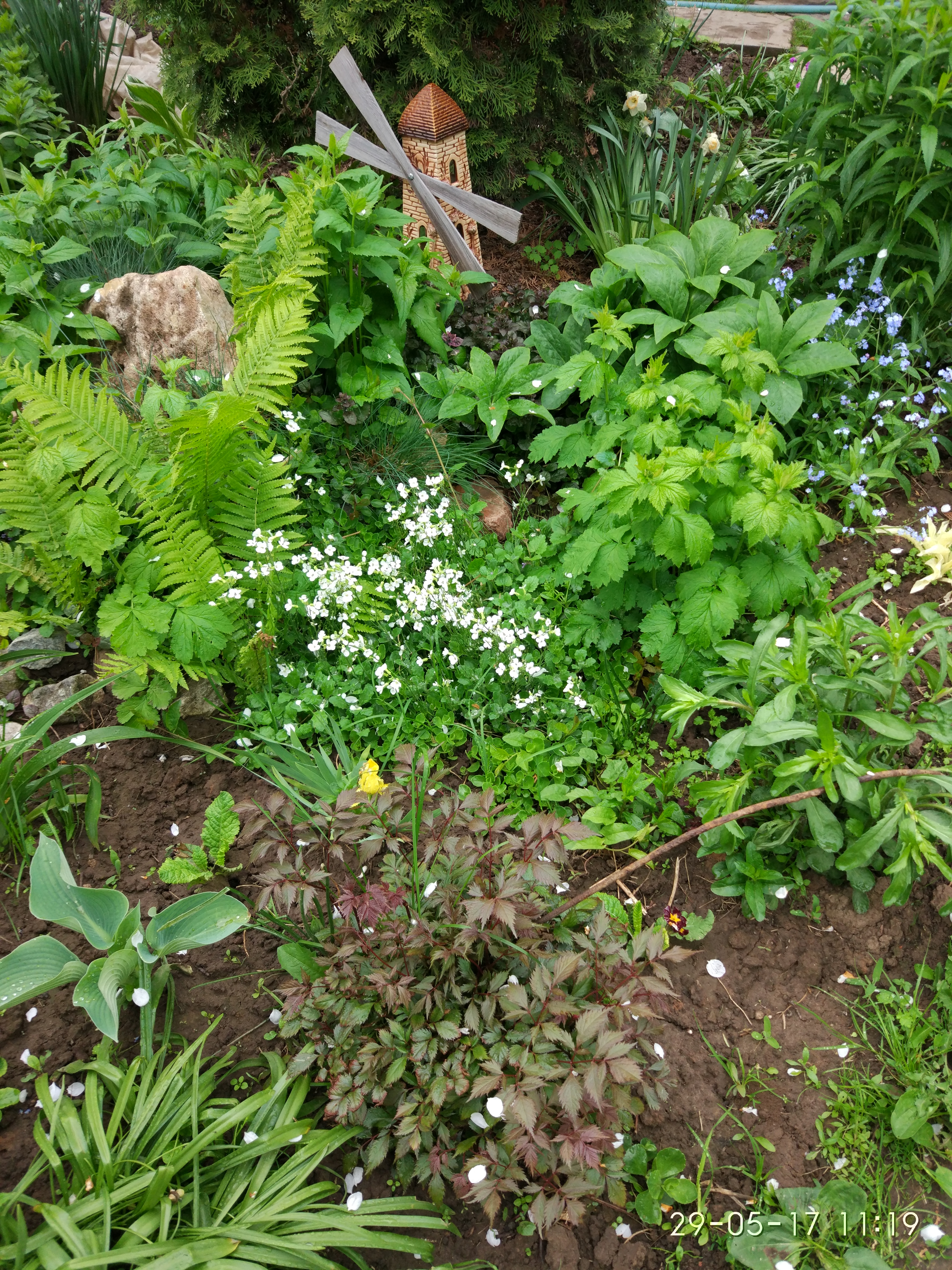 Сбор заказов. 7.09 Мамины Цветочки! Ягоды, многолетники, кустарники + луковичные Сбор заказов. 7.09 Мамины Цветочки! Ягоды, многолетники, кустарники + луковичные