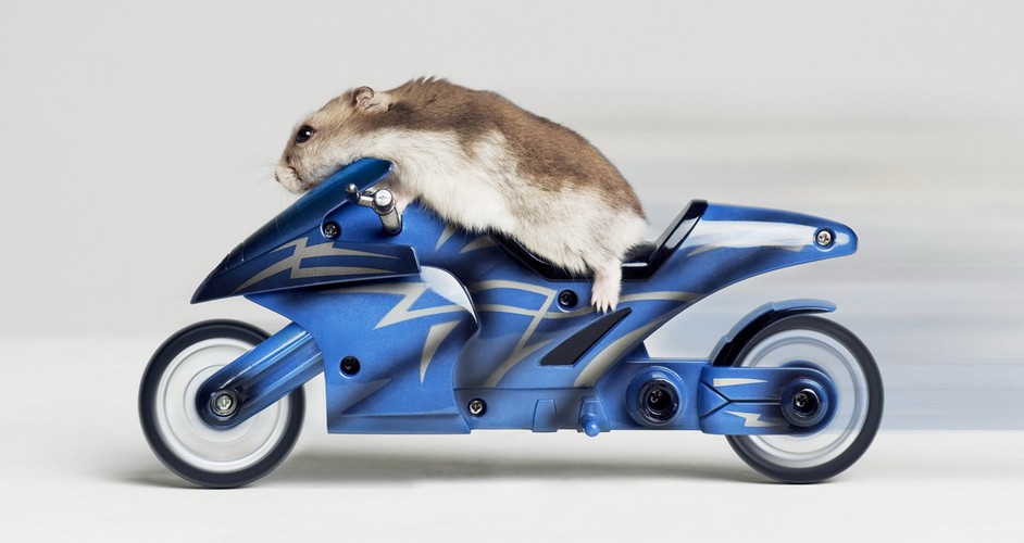 Раздам заказы из пристроя до конца недели! Верхняя часть (+область) и Мещера. Запись 2 дня - сегодня и завтра Раздам заказы из пристроя до конца недели! Верхняя часть (+область) и Мещера. Запись 2 дня - сегодня и завтра