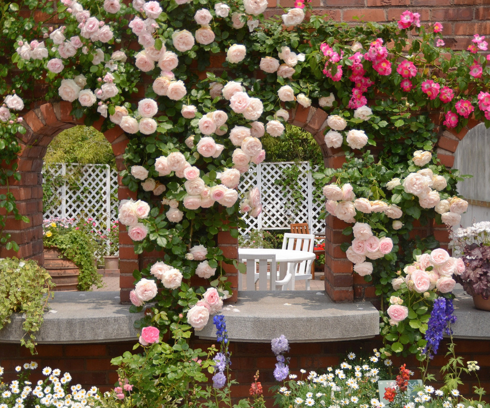 Саженцы роз из частного питомника Нижегородской области/2. Предзаказ на весну 2018г Саженцы роз из частного питомника Нижегородской области/2. Предзаказ на весну 2018г