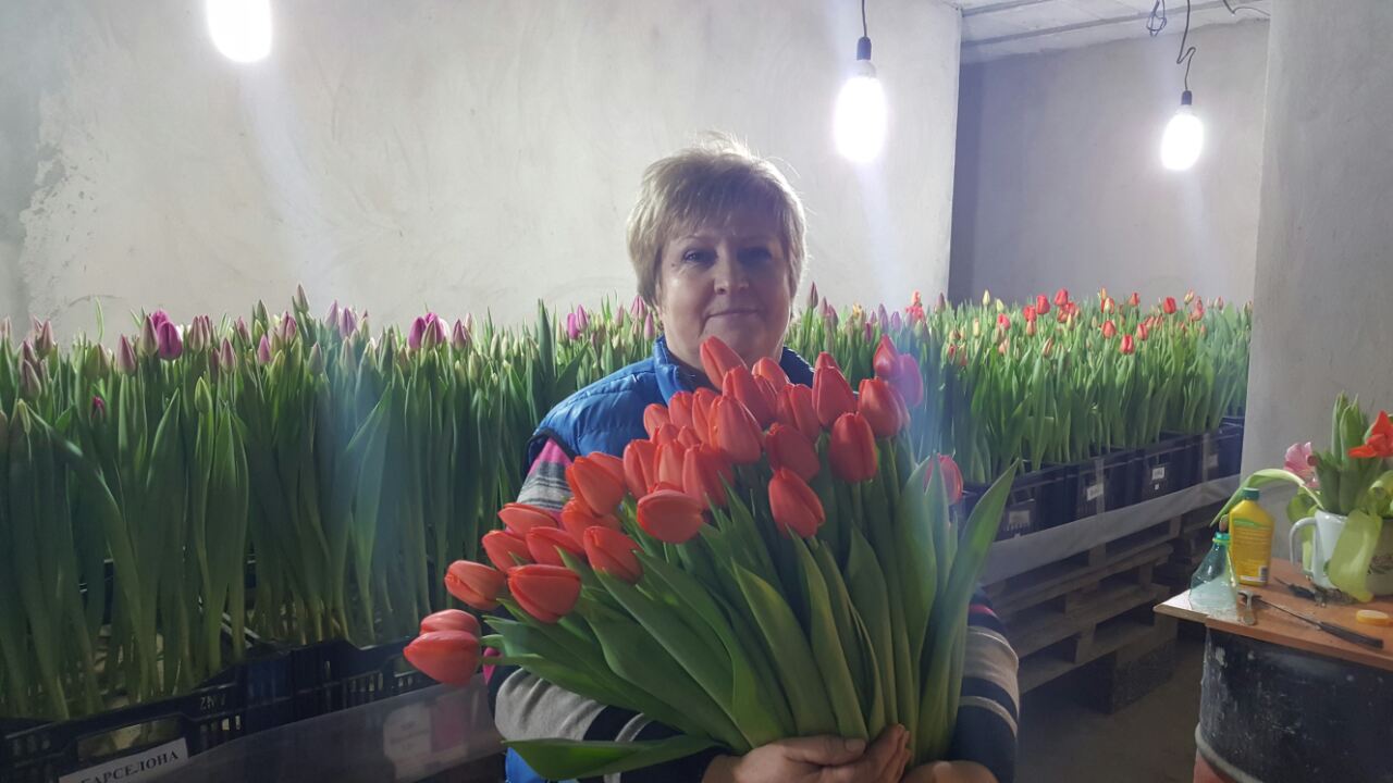 Сбор заказов. 30/09 Мега Распродажа! Луковичные. Мамины цветочки - Закрываем сезон! Сбор заказов. 30/09 Мега Распродажа! Луковичные. Мамины цветочки - Закрываем сезон!