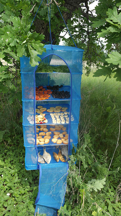 Складная большая сетка сушилка 50х50х65 подвесной дегидратор сушки овощей, рыбы, грибов и зелени Складная большая сетка сушилка 50х50х65 подвесной дегидратор сушки овощей, рыбы, грибов и зелени