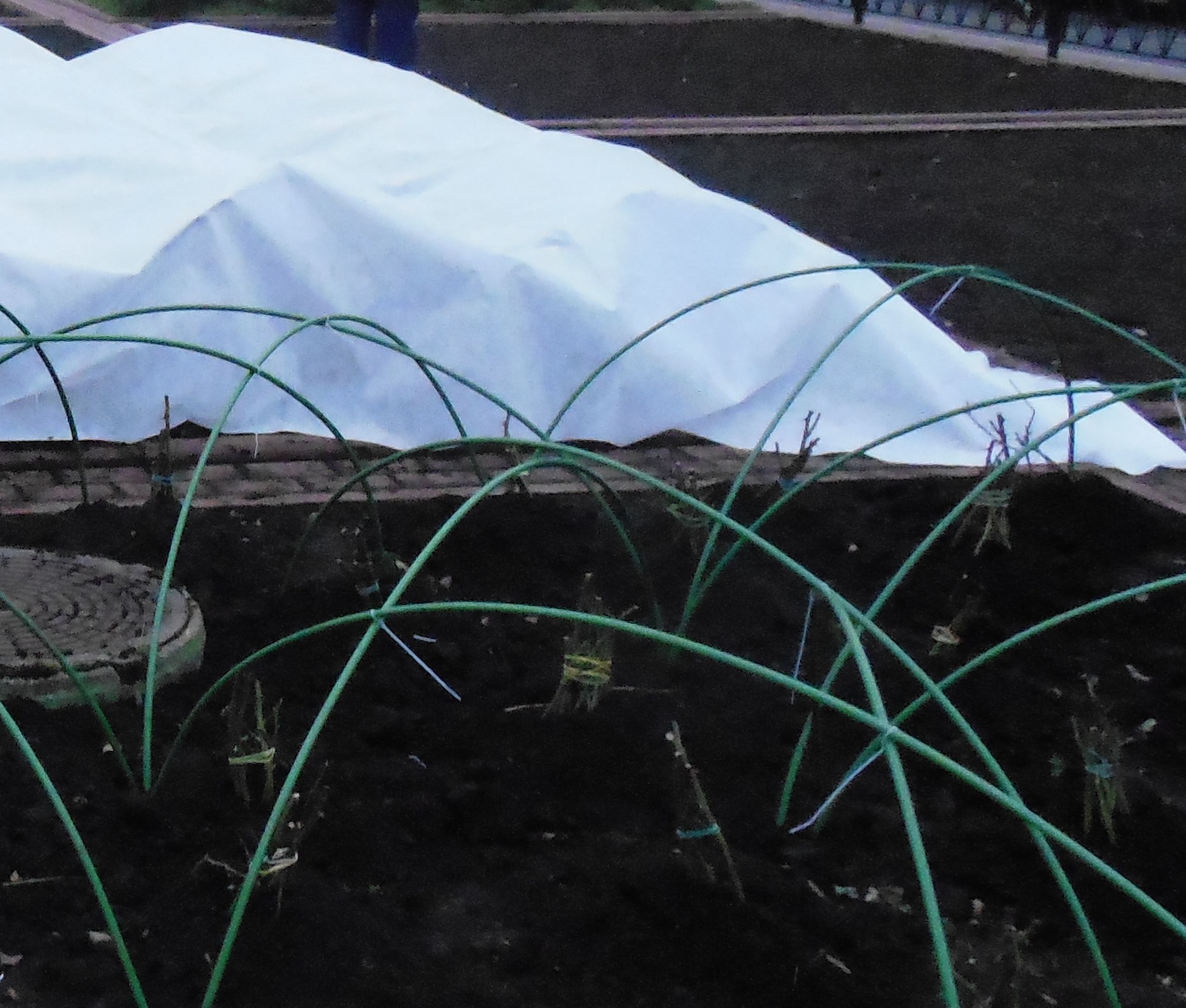 Дуги для укрытия роз и других растений! Только 2 дня! Нужно успеть до морозов! Дуги для укрытия роз и других растений! Только 2 дня! Нужно успеть до морозов!