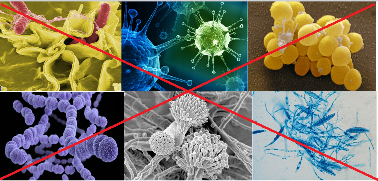Рекомендую закупку по дезсредствам ! Рекомендую закупку по дезсредствам !