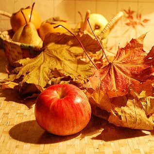 Пахнет осень багровым гранатом, Пахнет яблоком и курагой. Я люблю этот сказочный запах- Запах осени над головой! Пахнет осень багровым гранатом, Пахнет яблоком и курагой. Я люблю этот сказочный запах- Запах осени над головой!