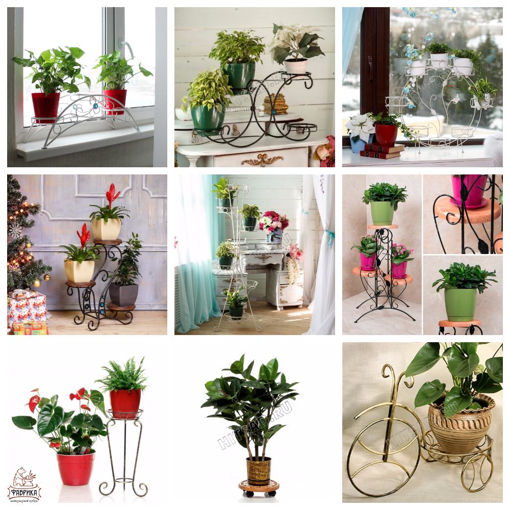 Пиар! Подставки под цветы: подоконные на 3-5-7 цветов, напольные, угловые, настенные! Огромный выбор и низкие цены. Пиар! Подставки под цветы: подоконные на 3-5-7 цветов, напольные, угловые, настенные! Огромный выбор и низкие цены.