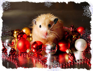 Закупки ноября с раздачами в середине декабря, рукодельное :) Закупки ноября с раздачами в середине декабря, рукодельное :)