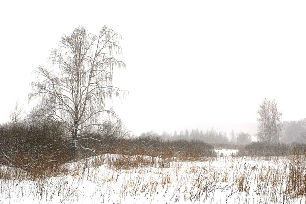 Прощальное слово Михаила Задорнова Прощальное слово Михаила Задорнова