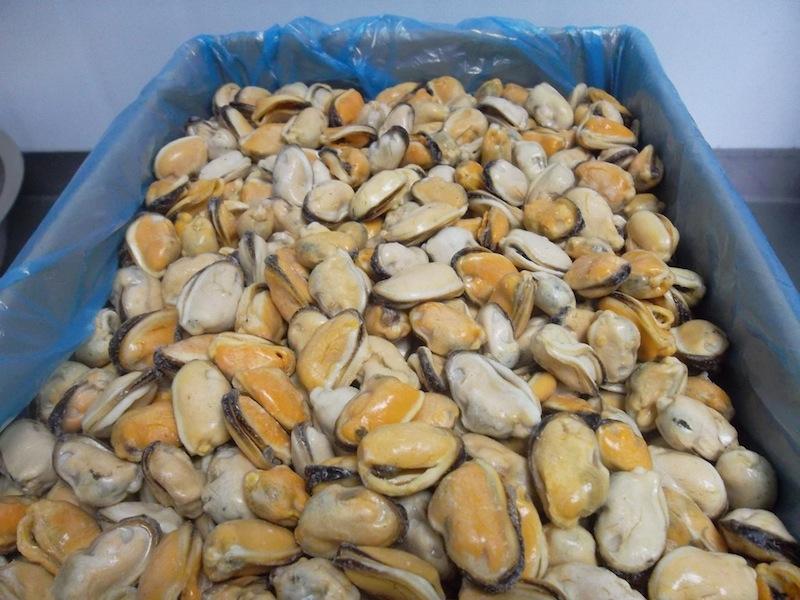 Сбор до 30.11. Теперь у нас рыбка еще свежее и еще дешевле - 58. ШОК ЦЕНА-Мидии-207 и 225, Лангустины-499,Филе лосося кубиками-272,Форель Карелия-495,Хек медальоны-260,треугольники-133,Кета,горбуша,кижуч-свежий вылов.Стейки,филе,креветки Сбор до 30.11. Теперь у нас рыбка еще свежее и еще дешевле - 58. ШОК ЦЕНА-Мидии-207 и 225, Лангустины-499,Филе лосося кубиками-272,Форель Карелия-495,Хек медальоны-260,треугольники-133,Кета,горбуша,кижуч-свежий вылов.Стейки,филе,креветки