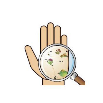 Сбор до 12.12. Теф*лекс- Безопасные дезинфицирующие средства для дома.Антисептик для рук - Ваша внешняя защита в борьбе с любым вирусным гриппом-27 Сбор до 12.12. Теф*лекс- Безопасные дезинфицирующие средства для дома.Антисептик для рук - Ваша внешняя защита в борьбе с любым вирусным гриппом-27