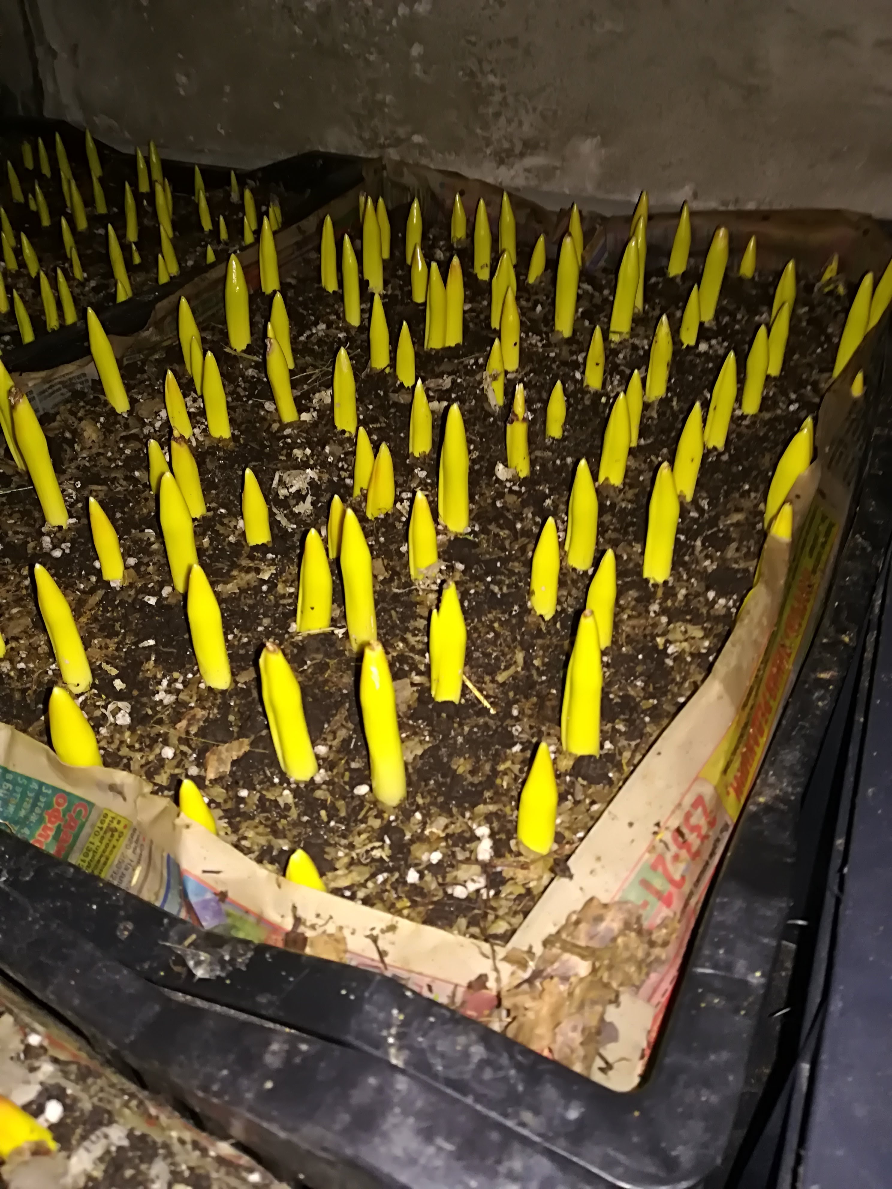 А мы начинаем уже подготовку к 8 МАРТА!!! и начинаем расти и набирать силу!!! А мы начинаем уже подготовку к 8 МАРТА!!! и начинаем расти и набирать силу!!!