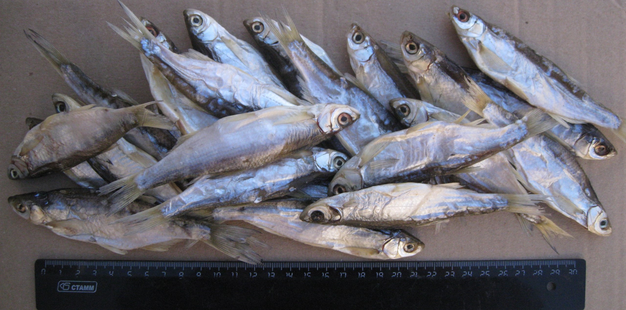 Новый сбор. Вяленая рыба-очень вкусная! Семечки из Иваново. Новый сбор. Вяленая рыба-очень вкусная! Семечки из Иваново.