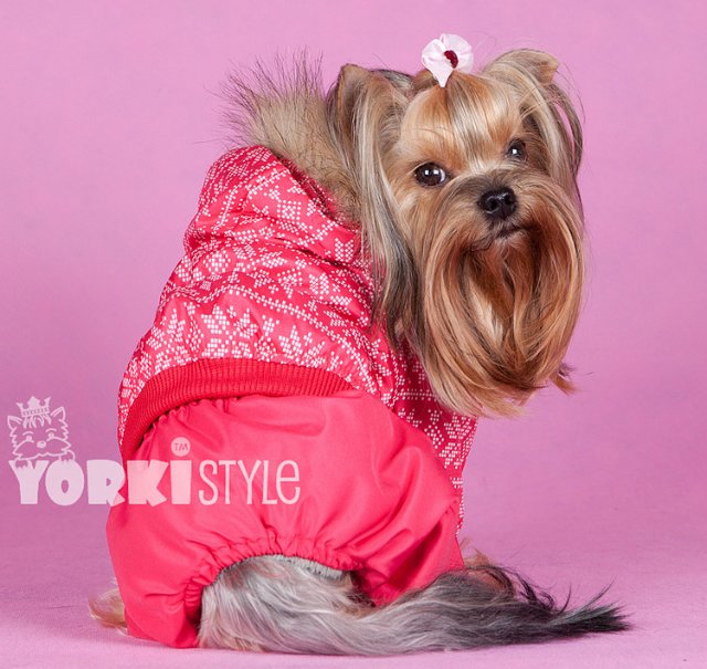 Одежда и аксессуары для собак от Lim@rgy. Есть многоразовые пелёнки. Розыгрыш приза! Одежда и аксессуары для собак от Lim@rgy. Есть многоразовые пелёнки. Розыгрыш приза!