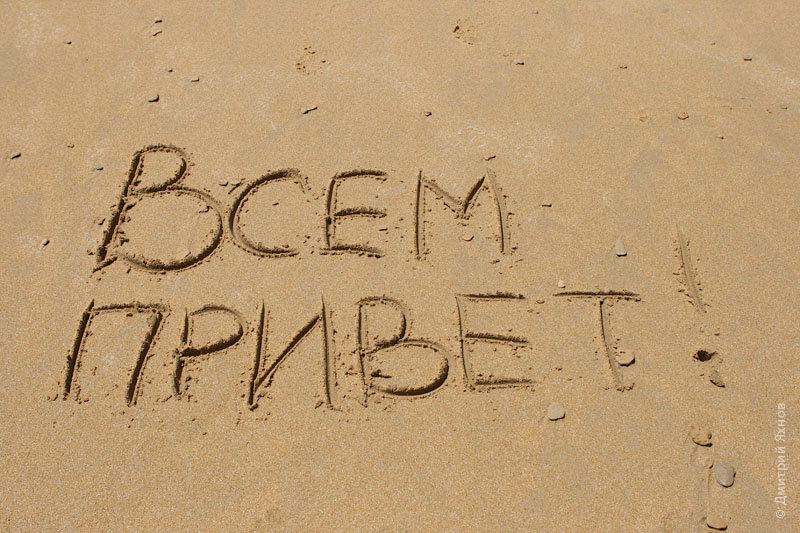 Всем привет ! Теперь мы будем вести свой блог! И Вы первыми сможете узнать о новостях СП-услуги и не только) Всем привет ! Теперь мы будем вести свой блог! И Вы первыми сможете узнать о новостях СП-услуги и не только)