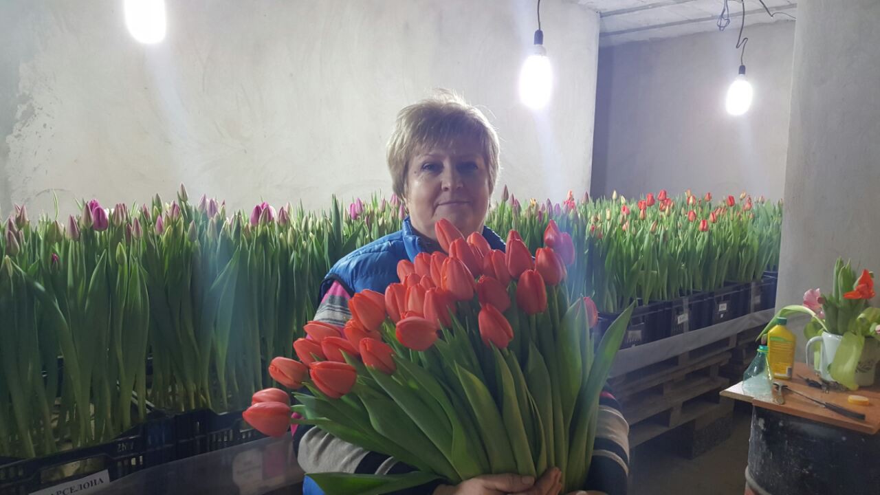 Сбор заказов. Мамины Цветочки! Свои Тюльпаны к 8 марта! Гиганты, Махровые и другие великолепные сорта. Сбор заказов. Мамины Цветочки! Свои Тюльпаны к 8 марта! Гиганты, Махровые и другие великолепные сорта.