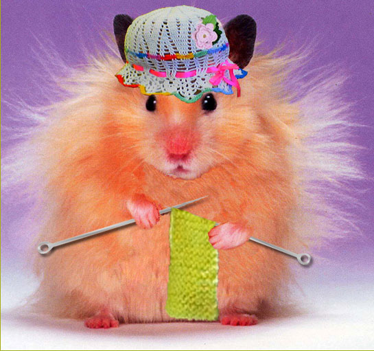 Закупки февраля с раздачами в середине марта, рукодельное :) Закупки февраля с раздачами в середине марта, рукодельное :)