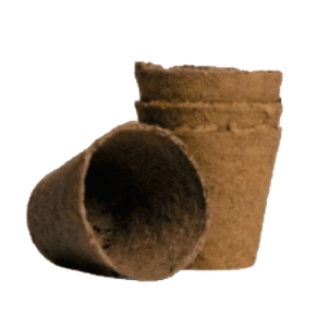 Раздача. List*ok - 20. 25 февраля Раздача. List*ok - 20. 25 февраля