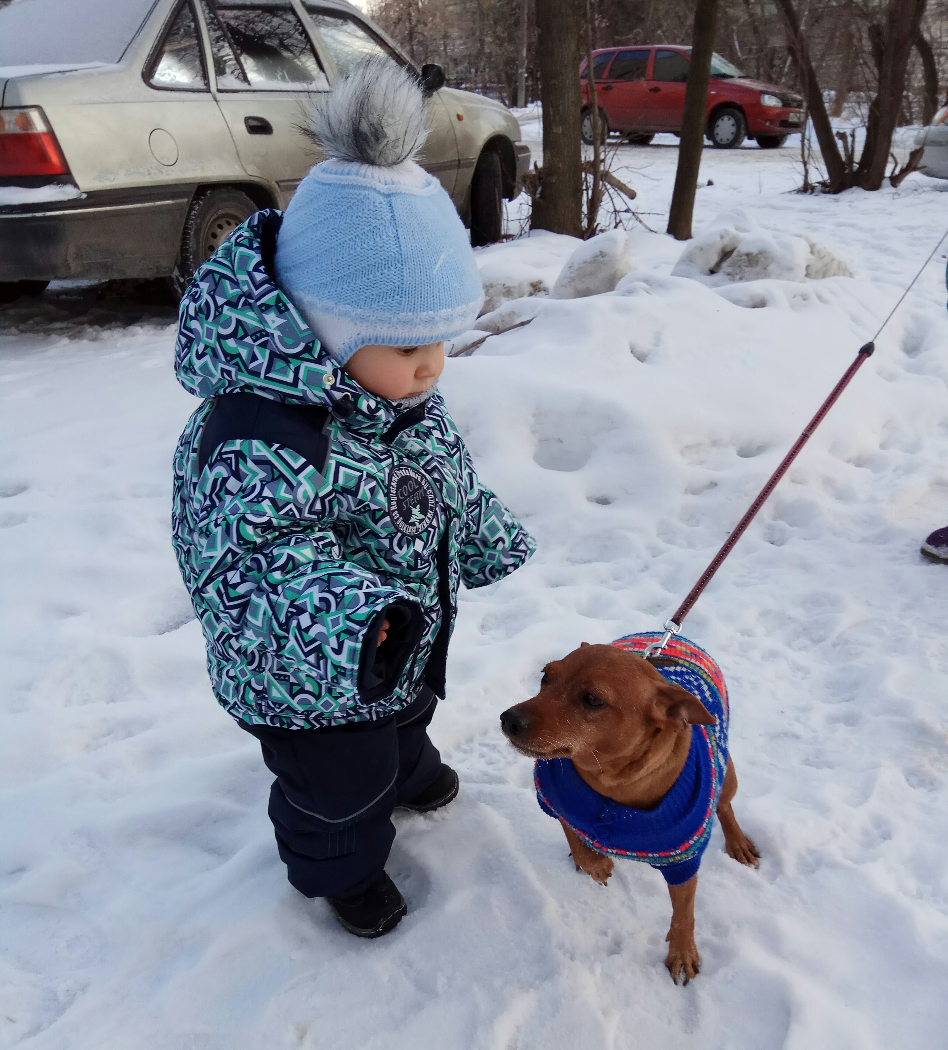 Любимая авава! #егорхрущев #Жоз #безусловнаялюбовь #счастьемое #немогулюблютрамвайкуплю #цвергпинчер #ЖозефинаБорисовна #Myworldseemssomuchbrightersinceyouhavecomeintomylife #вместевесело #дом #семья #мое #детки #февраль2018 #петрова_мария_н #petrova_mari Любимая авава! #егорхрущев #Жоз #безусловнаялюбовь #счастьемое #немогулюблютрамвайкуплю #цвергпинчер #ЖозефинаБорисовна #Myworldseemssomuchbrightersinceyouhavecomeintomylife #вместевесело #дом #семья #мое #детки #февраль2018 #петрова_мария_н #petrova_mari