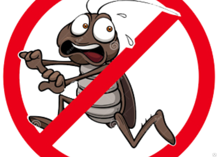 Дезинфекция и Дезинсекция. Уничтожение насекомых: тараканов, клопов, клещей, комаров и т.д. Метод "Холодный туман" Дезинфекция и Дезинсекция. Уничтожение насекомых: тараканов, клопов, клещей, комаров и т.д. Метод "Холодный туман"