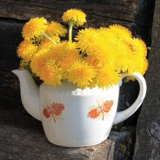 Зеленый чай весны с цветочным ароматом Зеленый чай весны с цветочным ароматом