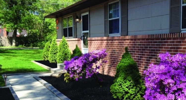 ПРИСТРОЙ! Черный крист@лл - дачные сезоны (сюжет) ПРИСТРОЙ! Черный крист@лл - дачные сезоны (сюжет)