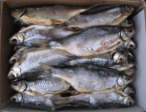 Новый сбор. Вяленая рыба-очень вкусная! Новый сбор. Вяленая рыба-очень вкусная!