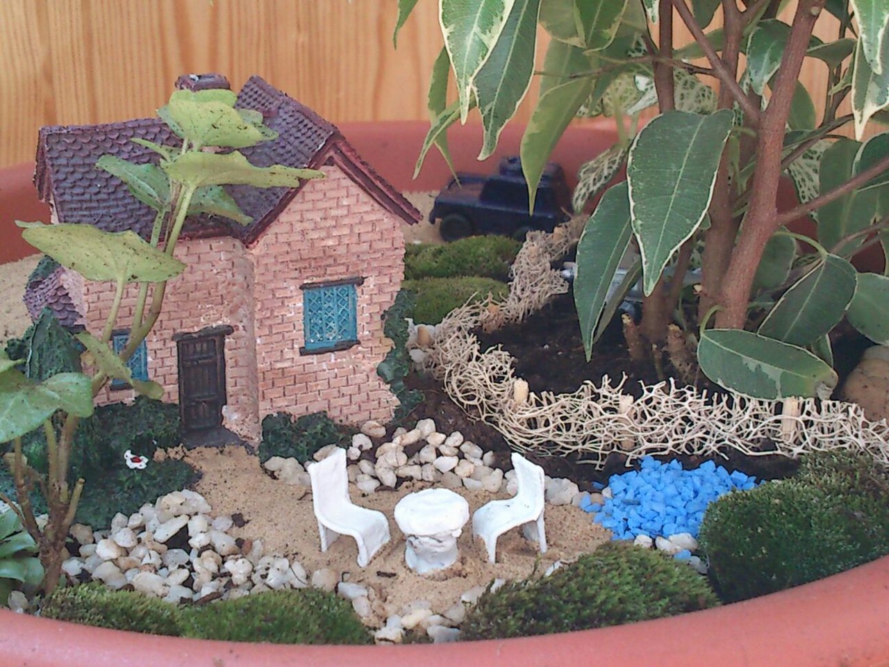 GreenLand Studio Миниатюрные сады GreenLand Studio Миниатюрные сады