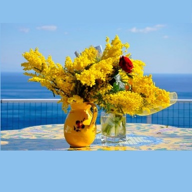 Стыдливой мимозы пушистые ветки Унизаны каплями солнца с утра... Стыдливой мимозы пушистые ветки Унизаны каплями солнца с утра...