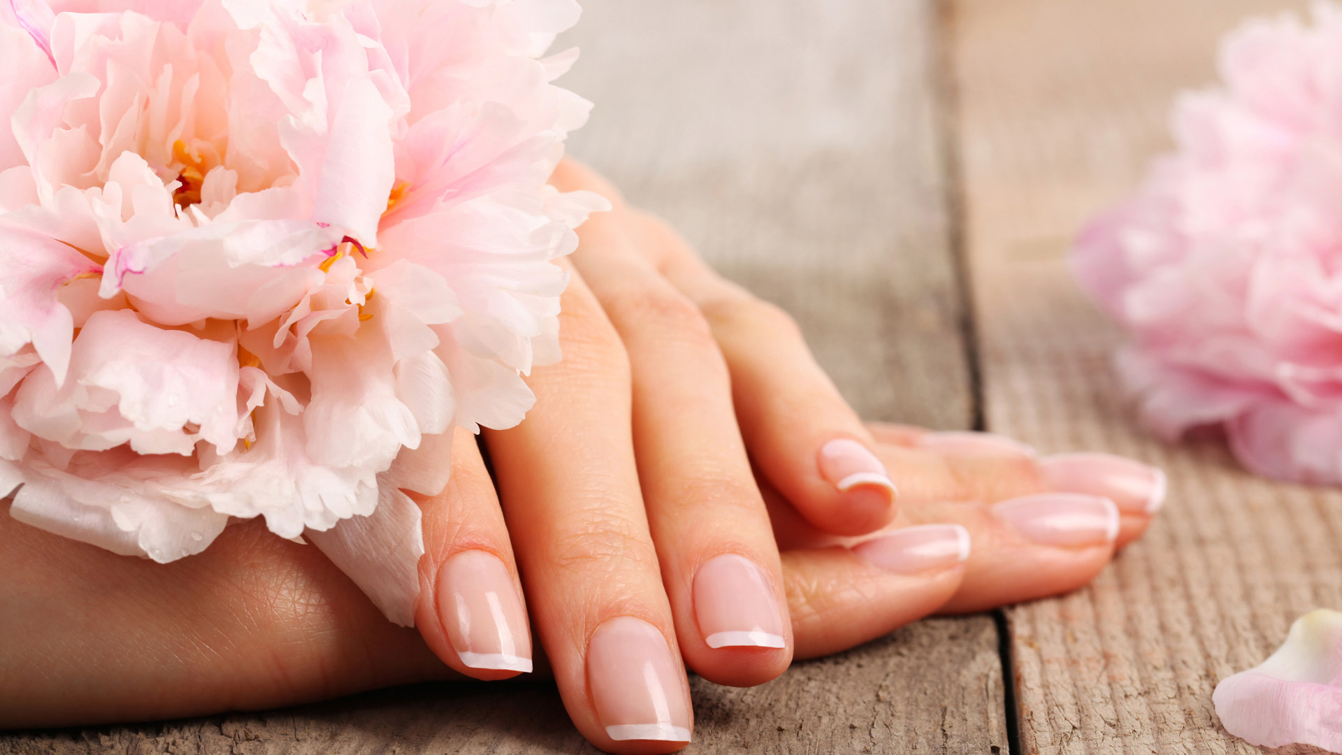 Сбор заявок. Маникюр, педикюр, покрытие гель-лаками и Shellac. Автозаводский район и выезд на дом. Часть 3. АКЦИЯ В ТЕМЕ! Сбор заявок. Маникюр, педикюр, покрытие гель-лаками и Shellac. Автозаводский район и выезд на дом. Часть 3. АКЦИЯ В ТЕМЕ!