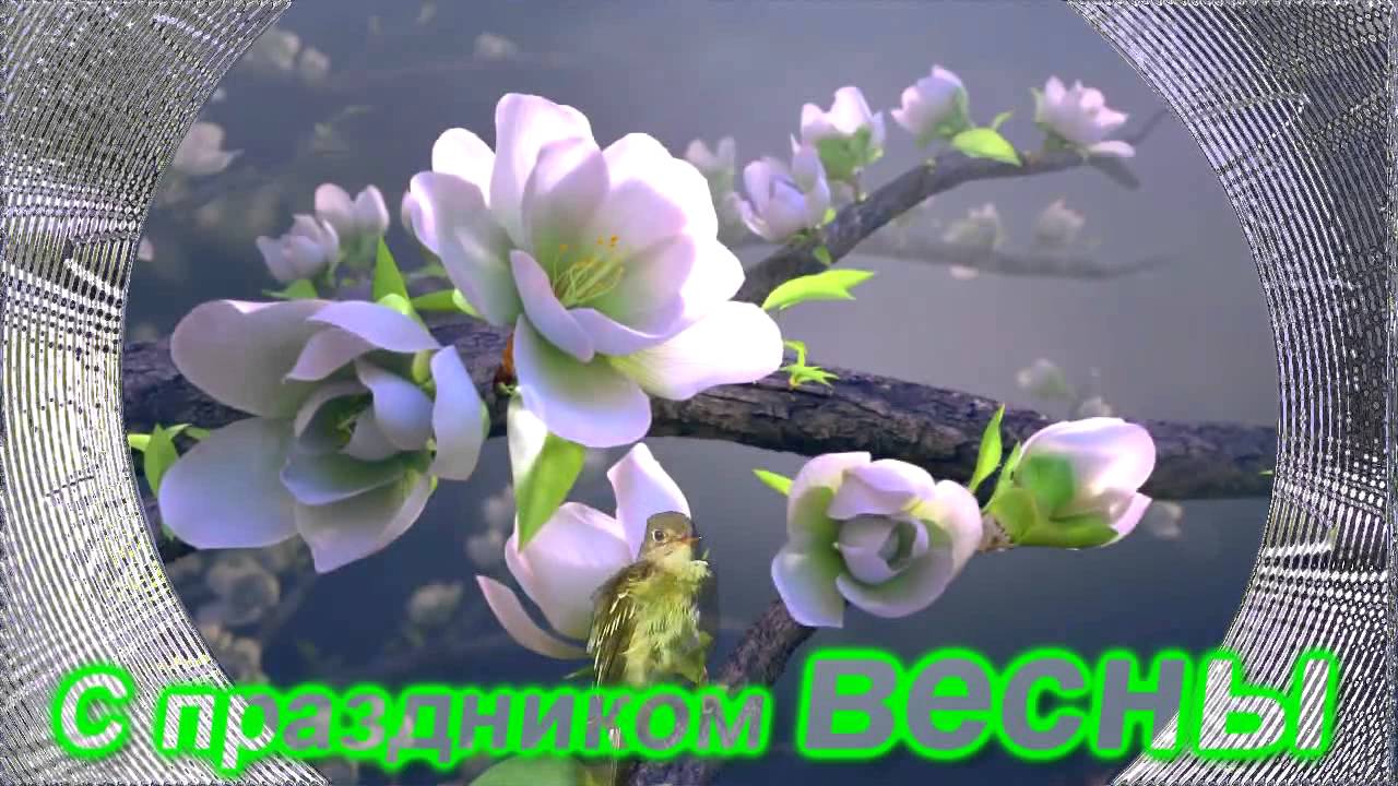 Поздравляем всю женскую половину человечества с праздником весны! Поздравляем всю женскую половину человечества с праздником весны!