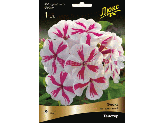 Более 120 сортов флоксов в одной закупке! Более 120 сортов флоксов в одной закупке!