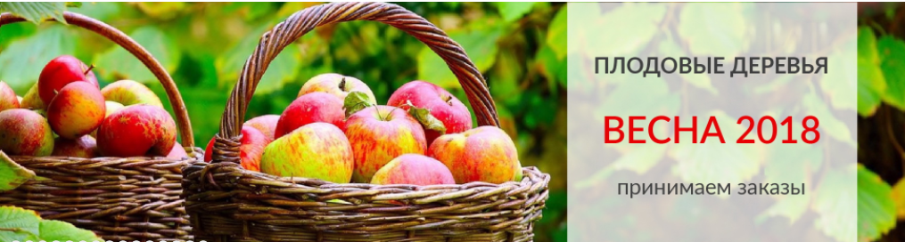 Купить саженцы плодовых деревьев с приживаемостью 100%? Это реально! Купить саженцы плодовых деревьев с приживаемостью 100%? Это реально!