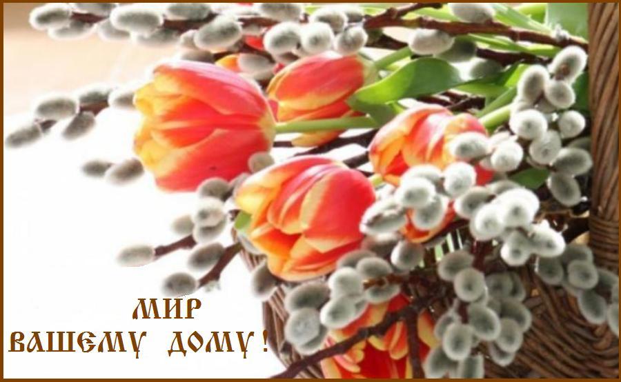 МИР ВСЕМ ! МИР ВСЕМ !