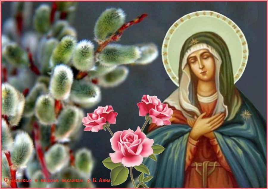 СВЕТЛОГО ВЕРБНОГО ВОСКРЕСЕНЬЯ ! ПОМОЩИ И ЗАСТУПНИЧЕСТВА БОЖИЕЙ МАТЕРИ ! СВЕТЛОГО ВЕРБНОГО ВОСКРЕСЕНЬЯ ! ПОМОЩИ И ЗАСТУПНИЧЕСТВА БОЖИЕЙ МАТЕРИ !