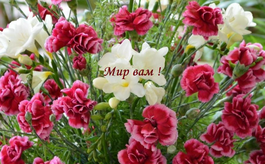 Светлая седмица, или Пасхальная неделя,это первые семь дней празднования Пасхи. Длится седмица от дня Пасхи, воскресения Христова, до Фоминой недели. Светлая седмица, или Пасхальная неделя,это первые семь дней празднования Пасхи. Длится седмица от дня Пасхи, воскресения Христова, до Фоминой недели.