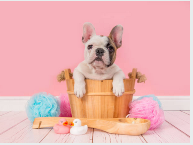 Сбор заказов. Ковры и шторы для ванны, туалета. Аксессуары для ванны, мешочки для стирки, сушилки для белья 04/18 Сбор заказов. Ковры и шторы для ванны, туалета. Аксессуары для ванны, мешочки для стирки, сушилки для белья 04/18