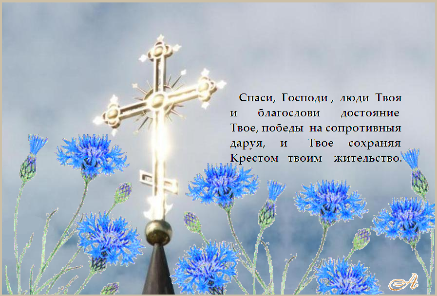 МИР ВАМ ! МИР ВАМ !