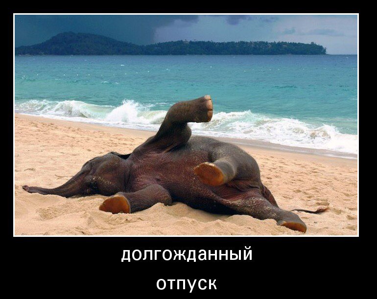 Не теряйте меня! Я в отпуске! Не теряйте меня! Я в отпуске!