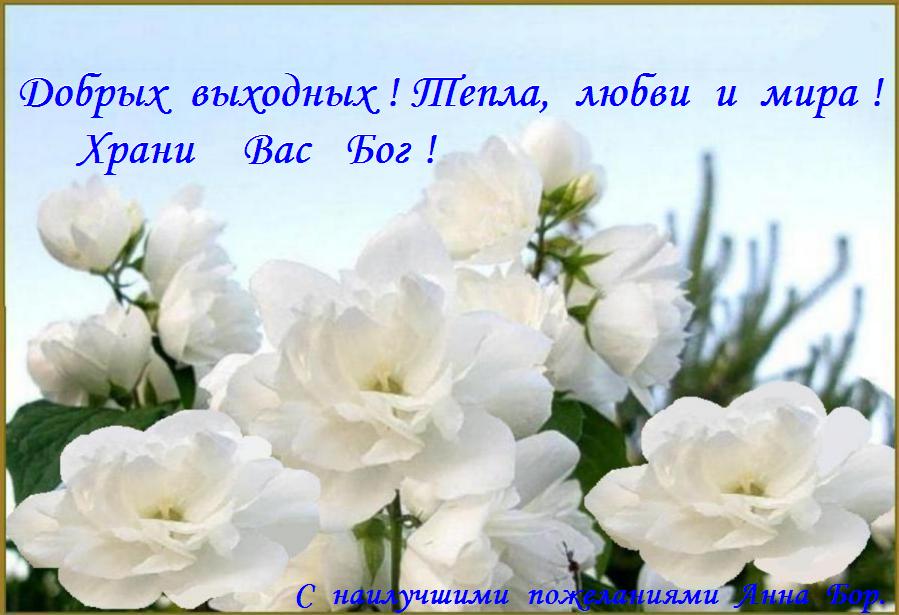 МИР ВАШЕМУ ДОМУ ! МИР ВАШЕМУ ДОМУ !