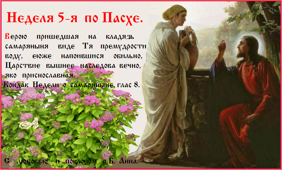 МИР ВАМ ! МИР ВАМ !